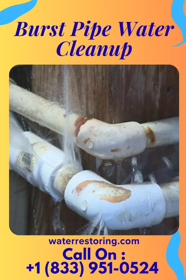 Burst Pipe Water Cleanup in Cranesville, PA