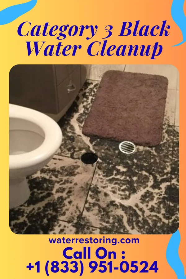 Category 3 Black Water Cleanup in Cranesville, PA