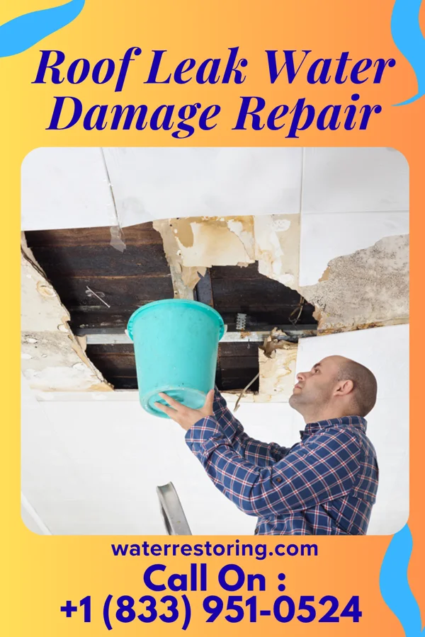 Roof Leak Water Damage Repair in Cranesville, PA