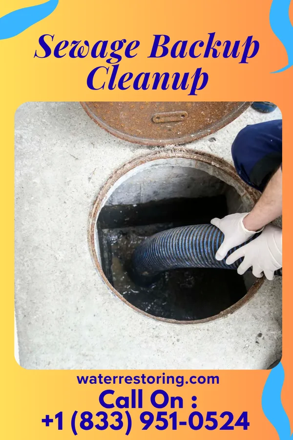 Sewage Backup Cleanup in Cranesville, PA
