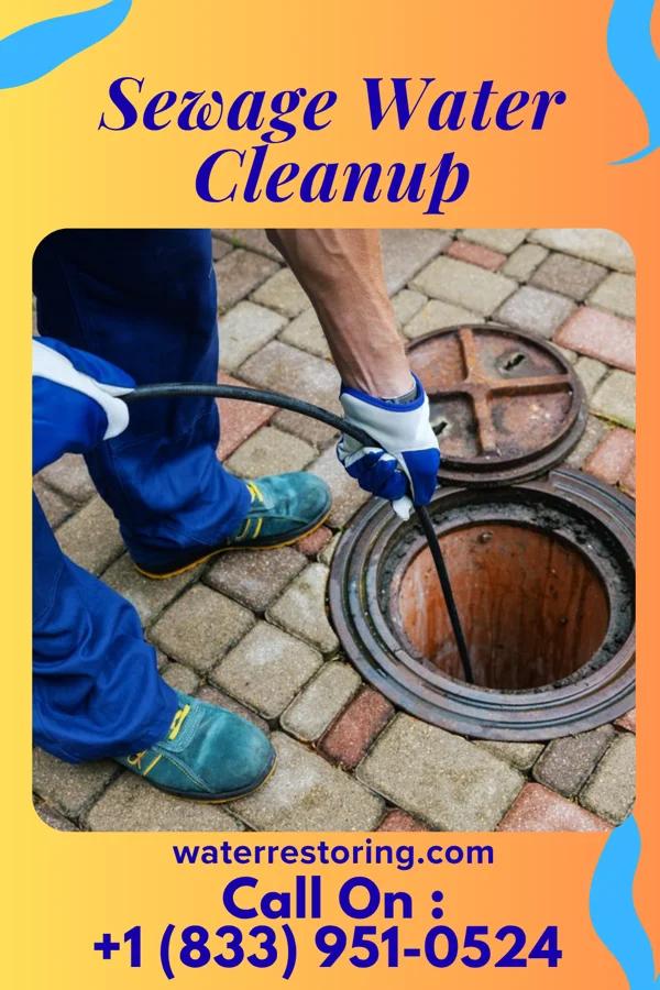 Sewage Water Cleanup in Cranesville, PA